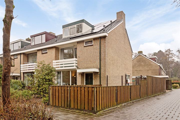 Bekijk foto 31 van Van Oldenbarneveltstraat 44