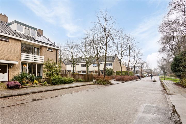 Bekijk foto 32 van Van Oldenbarneveltstraat 44