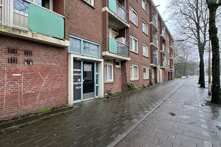 Bekijk foto 17 van Werengouw 423