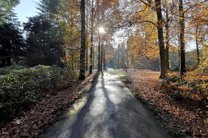 Bekijk foto 47 van Marie Koenenlaan 12