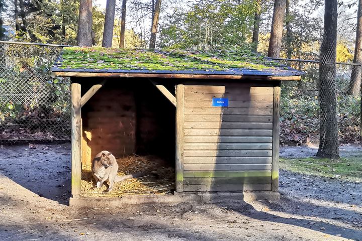 Bekijk foto 46 van Marie Koenenlaan 12