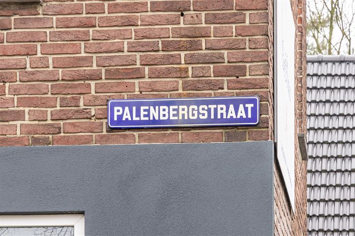 Bekijk foto 3 van Palenbergstraat 3