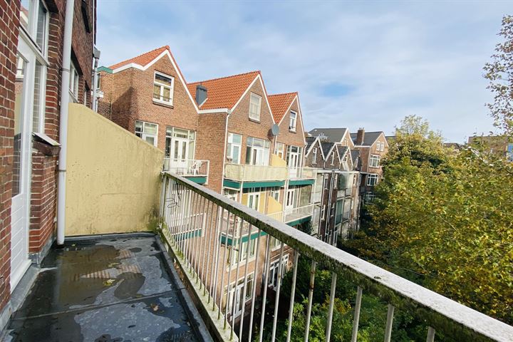 Bekijk foto 9 van Willem Beukelszstraat 8-C