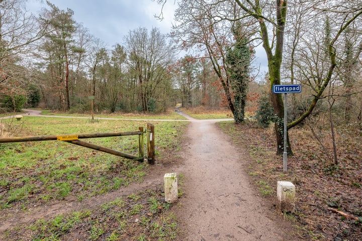 Bekijk foto 42 van Anne Franklaan 171