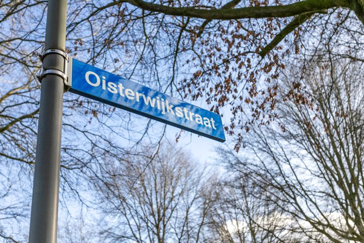 Bekijk foto 44 van Oisterwijkstraat 8