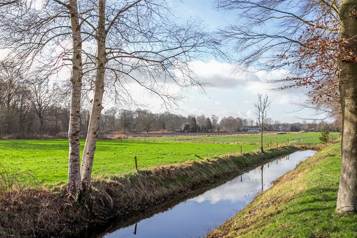 Bekijk foto 46 van Oisterwijkstraat 8