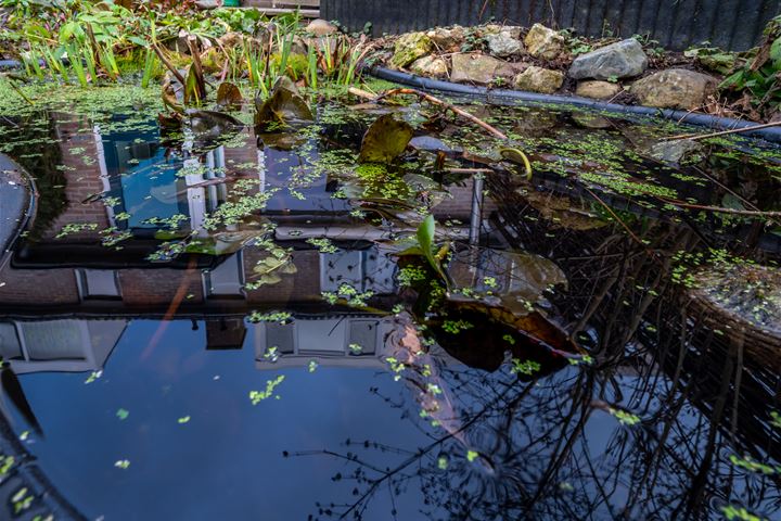 Bekijk foto 18 van Gaffelveld 10