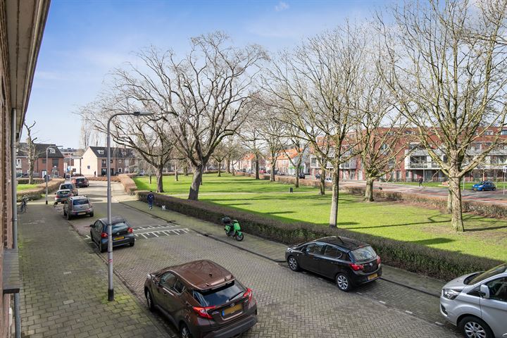 Bekijk foto 29 van Danie Theronstraat 22