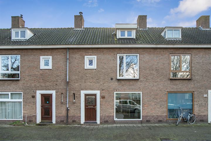 Bekijk foto 41 van Danie Theronstraat 22