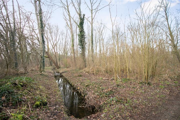 Bekijk foto 63 van de Ruyterstraat 31