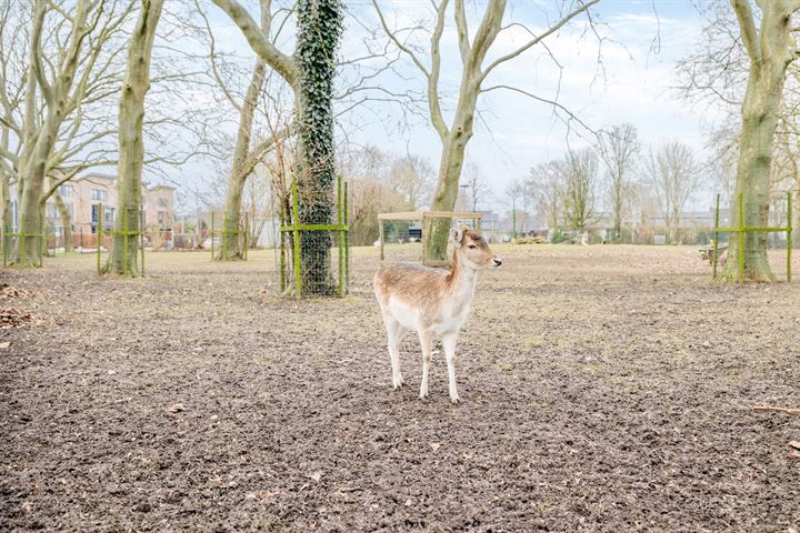 Bekijk foto 40 van Heuvel 32