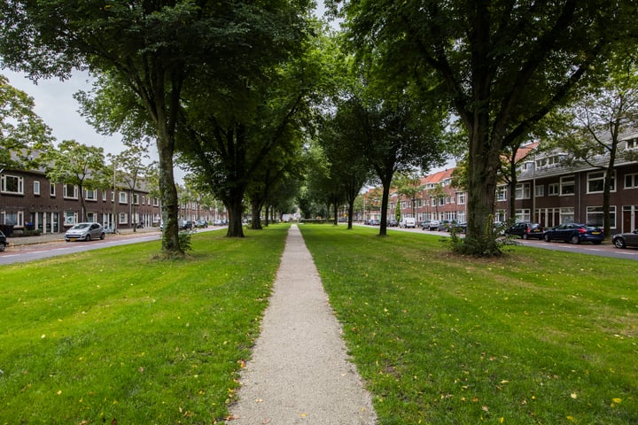 Bekijk foto 48 van Burgemeester van Tuyllkade 94-BIS