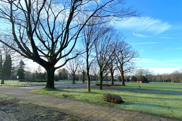 Bekijk foto 46 van Hatertseweg 266