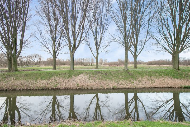 Bekijk foto 35 van Basilicumveld 7