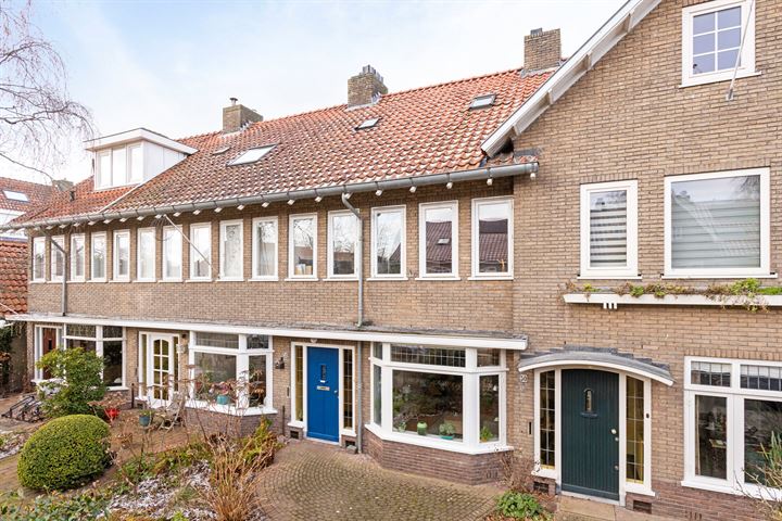 Bekijk foto 45 van Boerhaavelaan 52