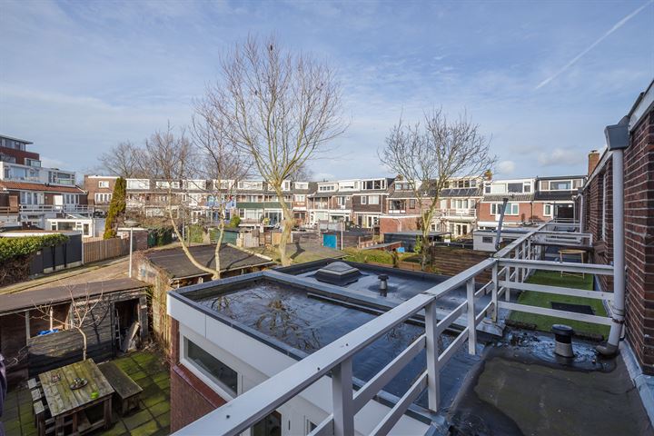 Bekijk foto 30 van Vogelplein 34