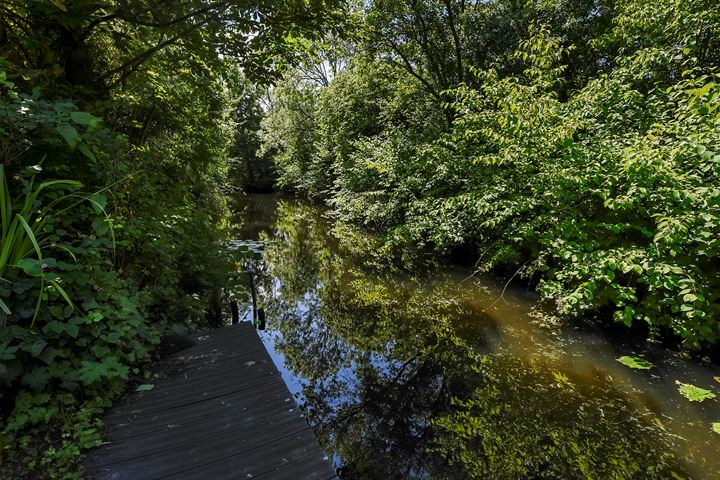 Bekijk foto 49 van van Cuycklaan 18