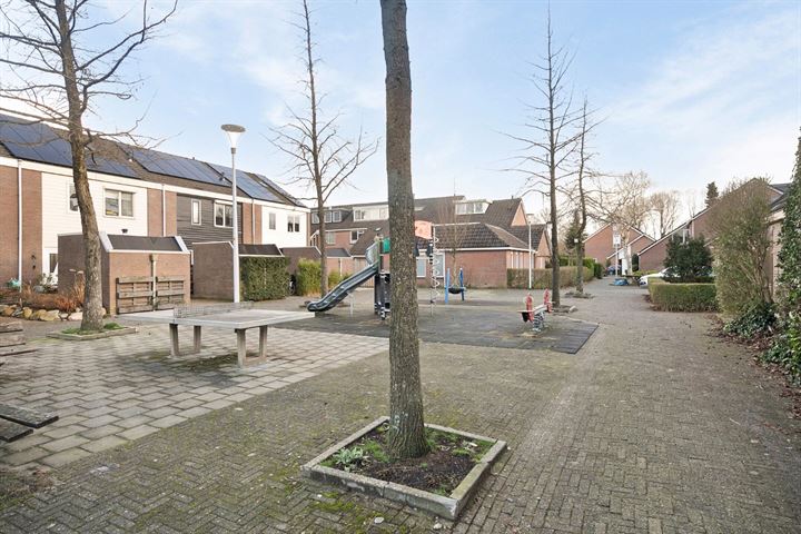 Bekijk foto 41 van Zilverschoon 66