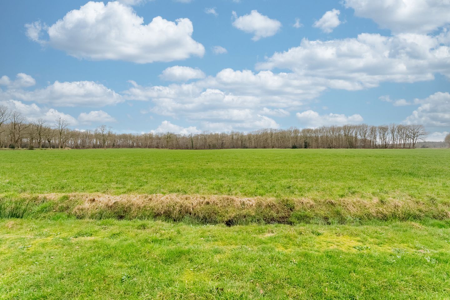 Photo 79 of Molenhoek 8