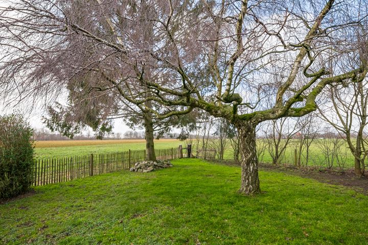 Bekijk foto 3 van Huiskesdijk 8-A