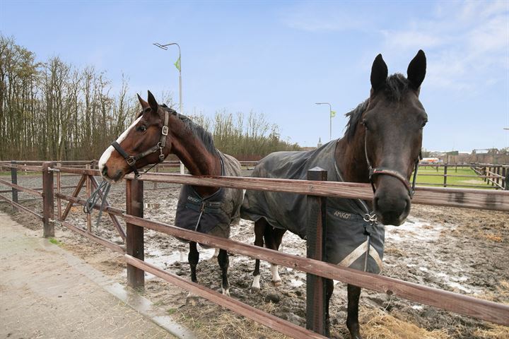 Bekijk foto 58 van Zandweg 18