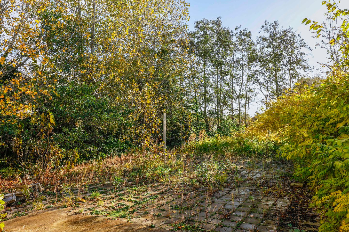 Foto 19 van Nieuweweg 11