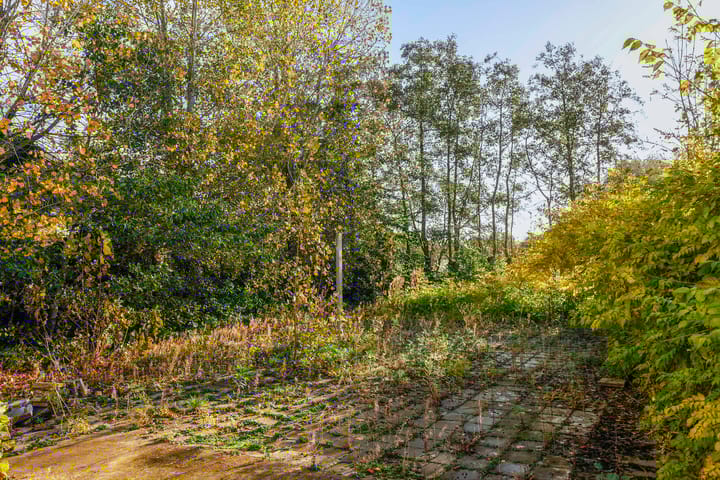 Foto 19 van Nieuweweg 11