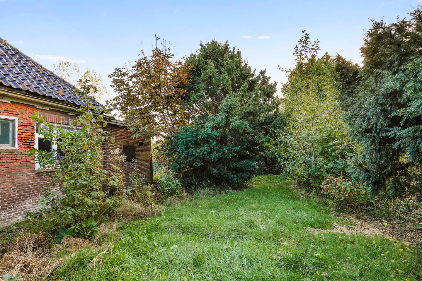 Foto 20 van Nieuweweg 11