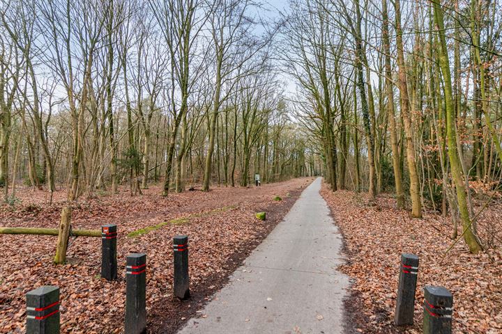 Bekijk foto 41 van Warmeerweg 328