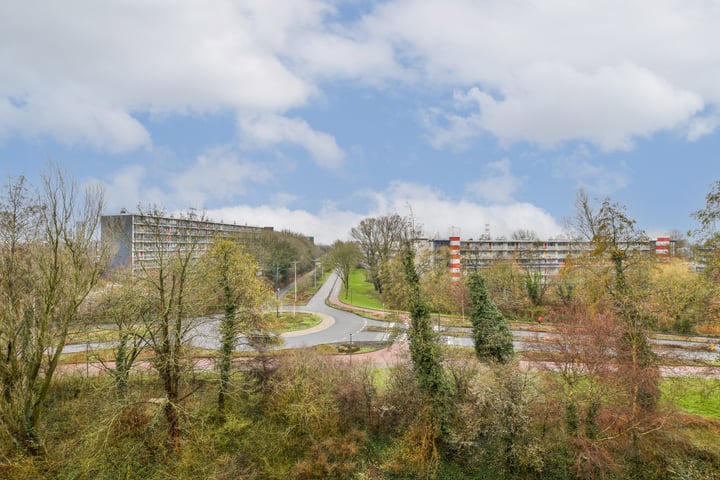 Bekijk foto 15 van Stadzicht 100