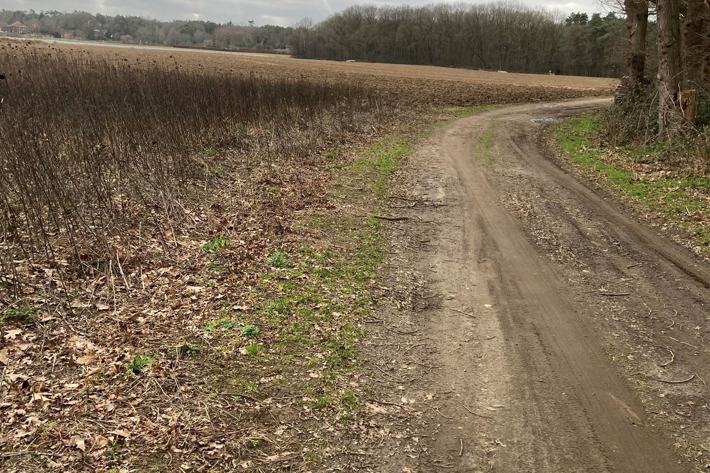 Bekijk foto 5 van Nabij Ruckweg