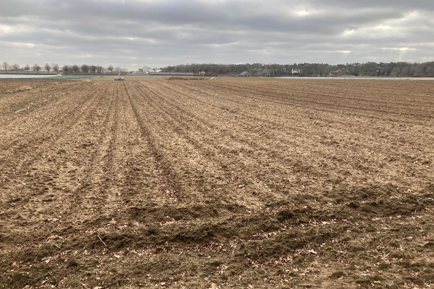 Bekijk foto 3 van Struukweg