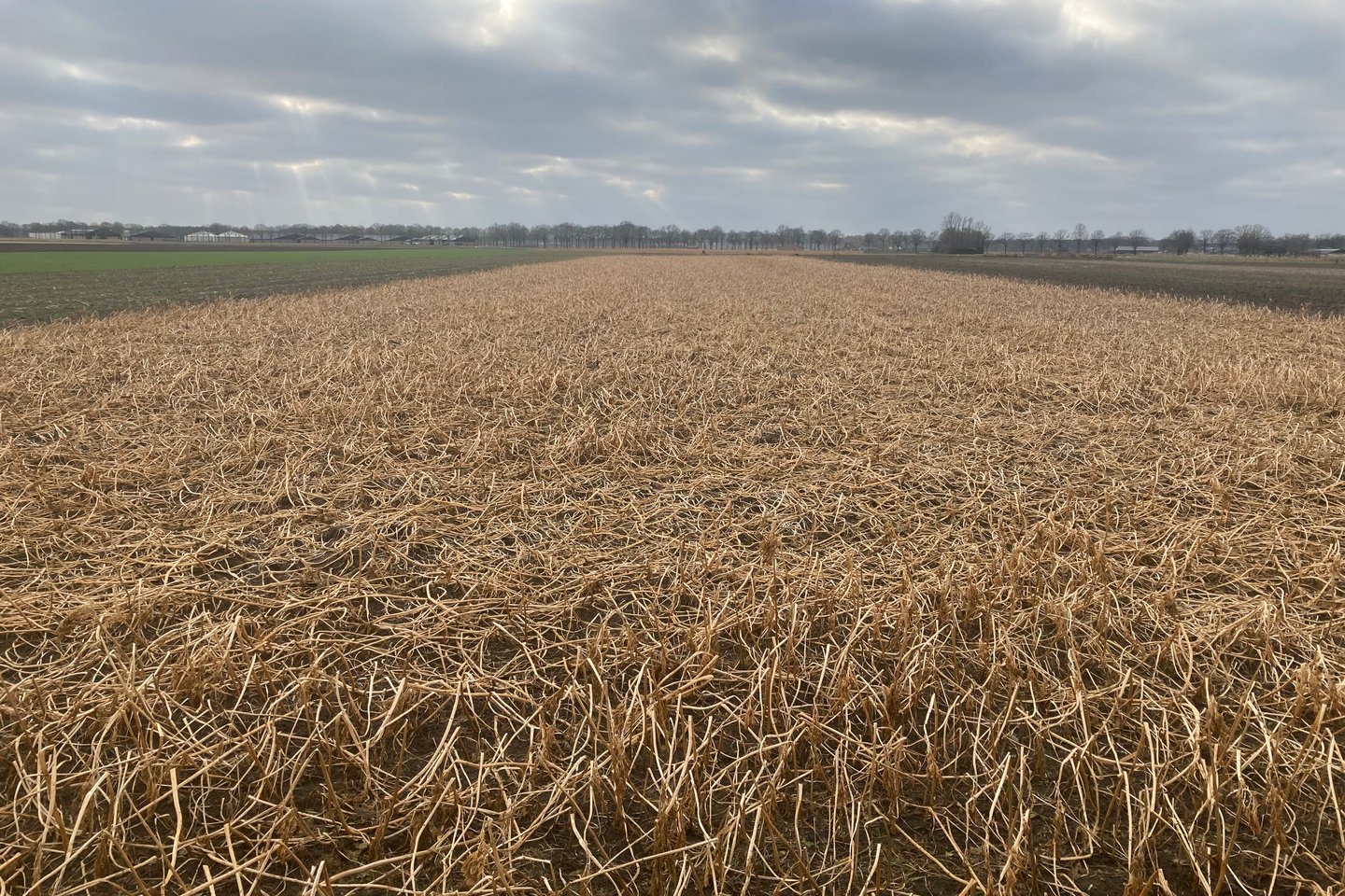 Bekijk foto 4 van Heinsbergerweg