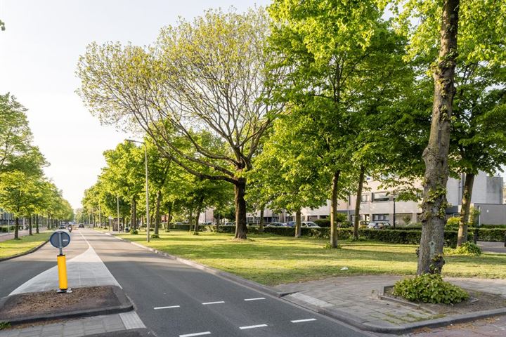 Bekijk foto 27 van Burgemeester Norbruislaan 432