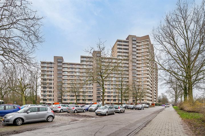 Bekijk foto 36 van Groningensingel 831