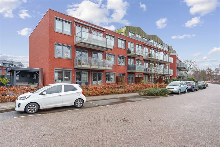 Bekijk foto 33 van Anjerstraat 51