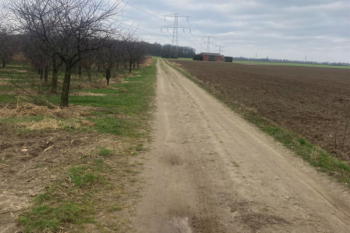 Bekijk foto 3 van Waarderweg