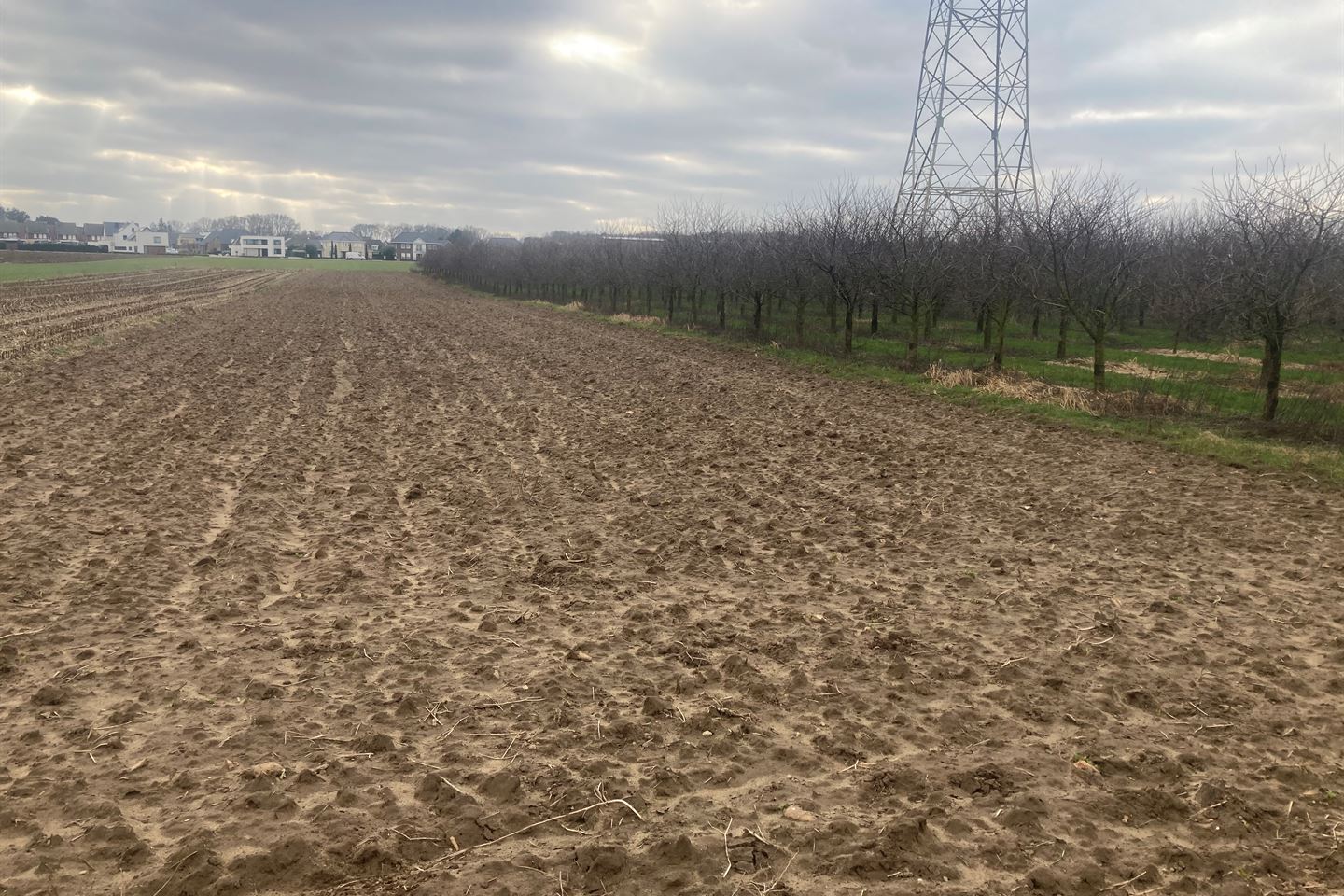 Bekijk foto 2 van Waarderweg