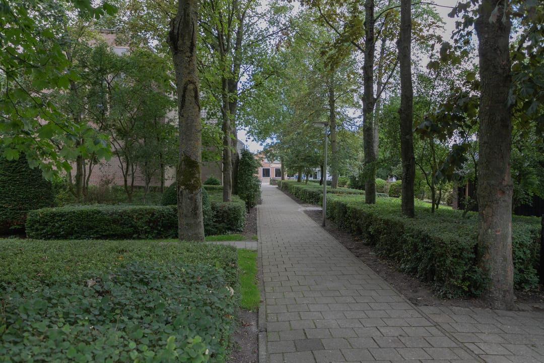 Foto 37 van Nieuweweg 13