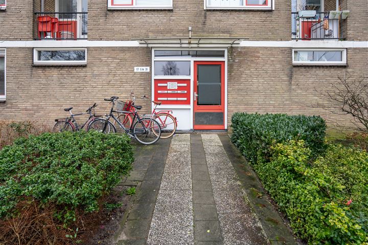 Bekijk foto 5 van Wieldraaierstraat 17