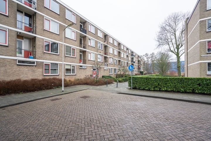 Bekijk foto 16 van Wieldraaierstraat 17