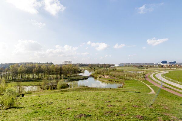 Bekijk foto 39 van Meerring 104