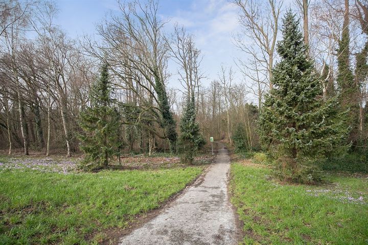 View photo 72 of 's-Gravenzandseweg 252