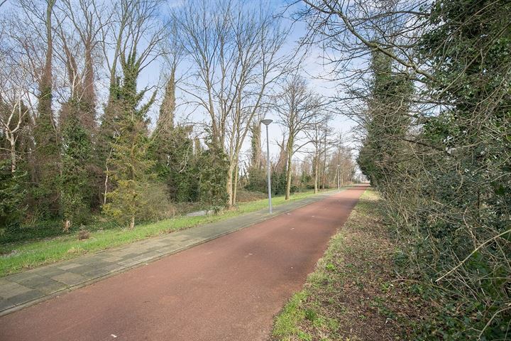 View photo 71 of 's-Gravenzandseweg 252