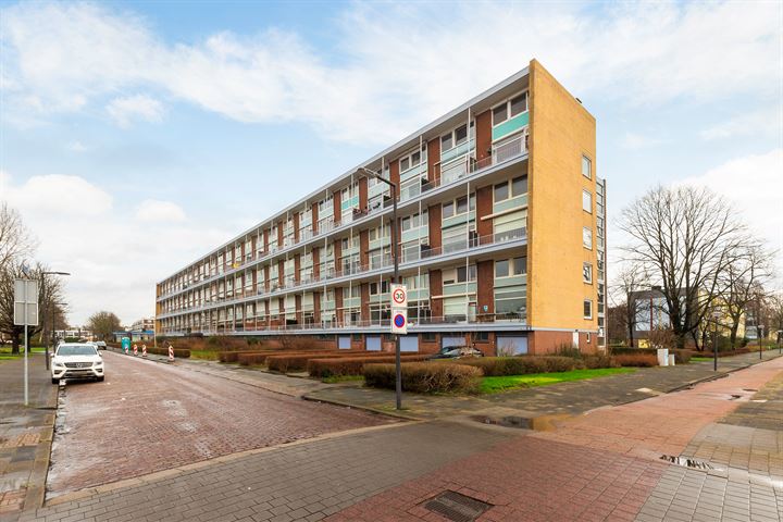 Bekijk foto 43 van Philips de Goedestraat 52