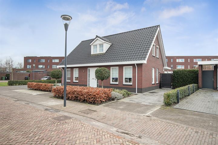 Bekijk foto 5 van Het Schaapsdijk 83