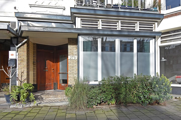 Foto 40 van Laan van Meerdervoort 273