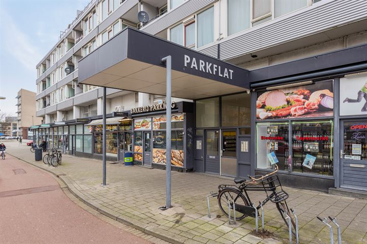 Bekijk foto 16 van Parkweg 299