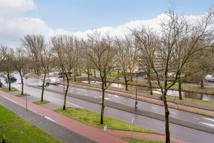 Bekijk foto 10 van Lepelaarsingel 80