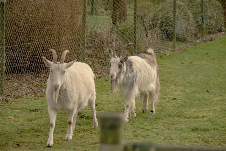 Bekijk foto 37 van Mauritsweg 5